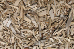 biomass boilers Skerray
